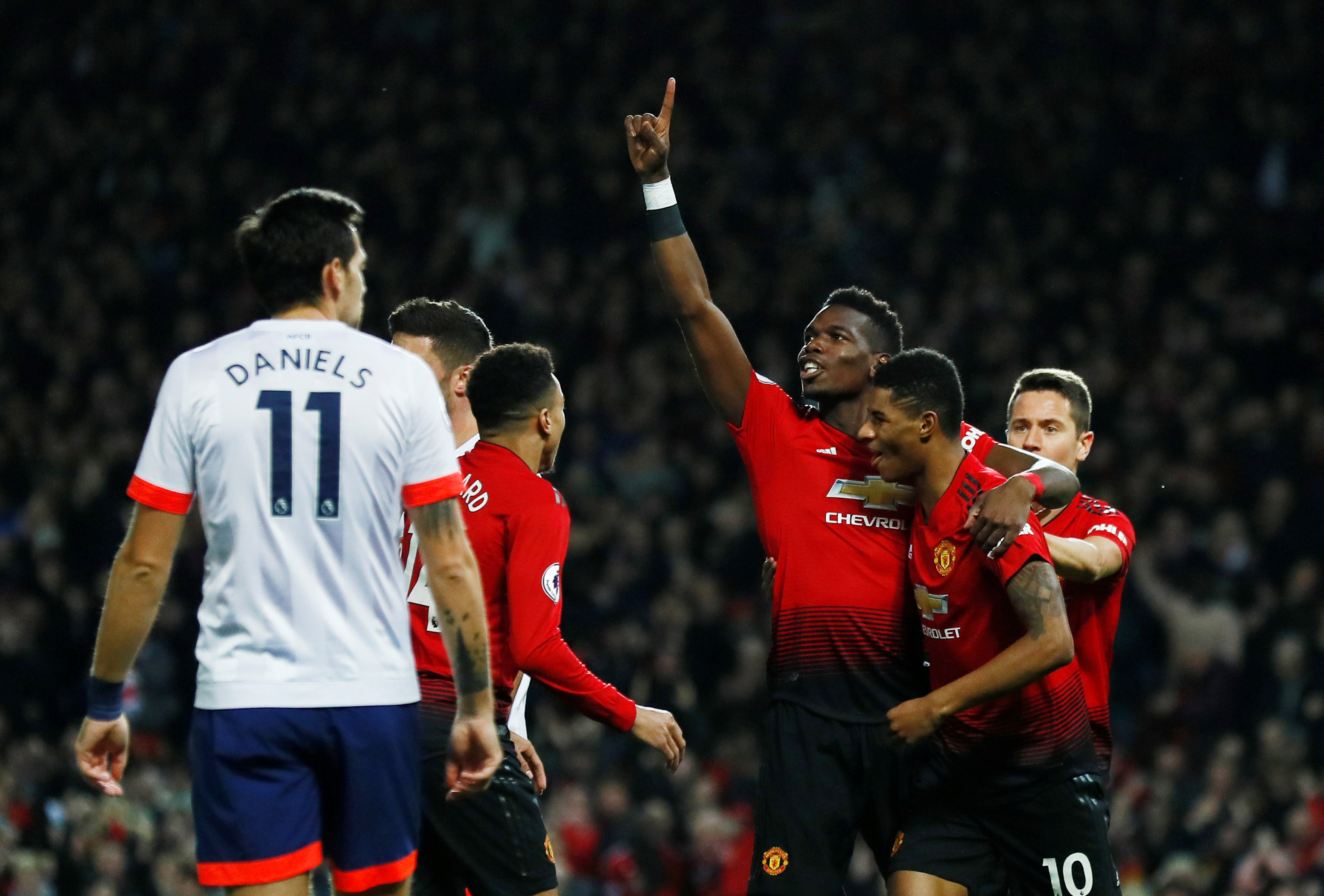 活性的安东 活性的安东